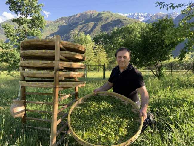 marco bertona te due