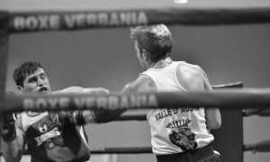 memorial d grosso boxe set 17 vb01