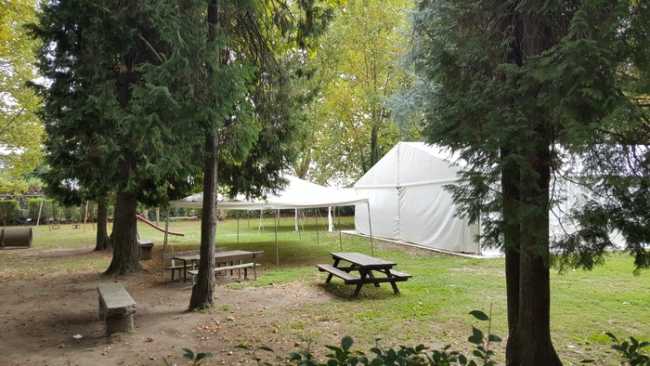 pesciola m d c set 17 tre