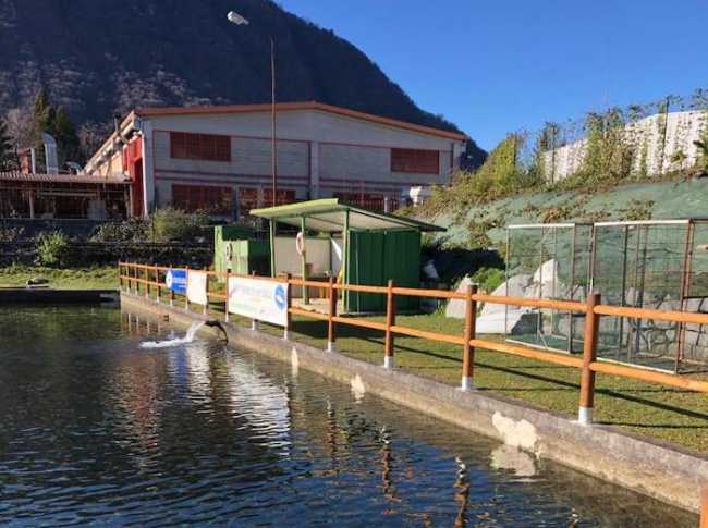 possaccio laghetto pesca