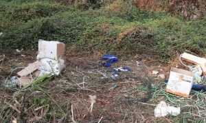 rifiuti ciglio strada