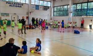 rosaltiora minivolley