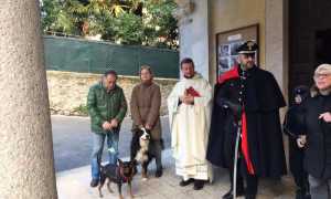 s antonio vedasco 18 5