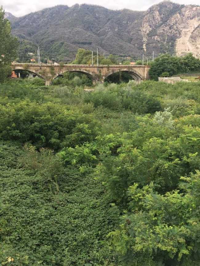 selvaspessa torrete1