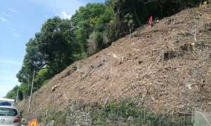 statale34 lavori00001 copia