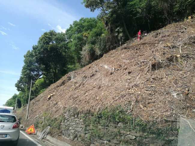 statale34 lavori00001