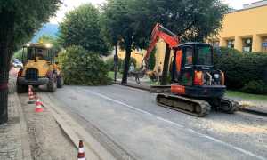 taglio piante cannobio 1