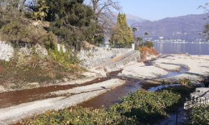 torrente selva spessa