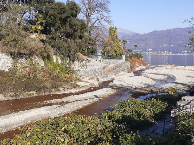 torrente selva spessa