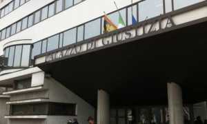 trib treviso