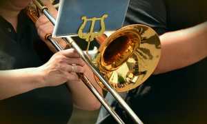 trumpet 1495108 640