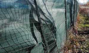 vandali rete canile casoni