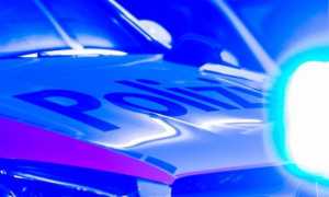 zocchetti4 984414 20191002191554