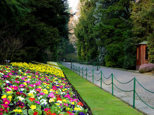 giardini villa taranto viale1