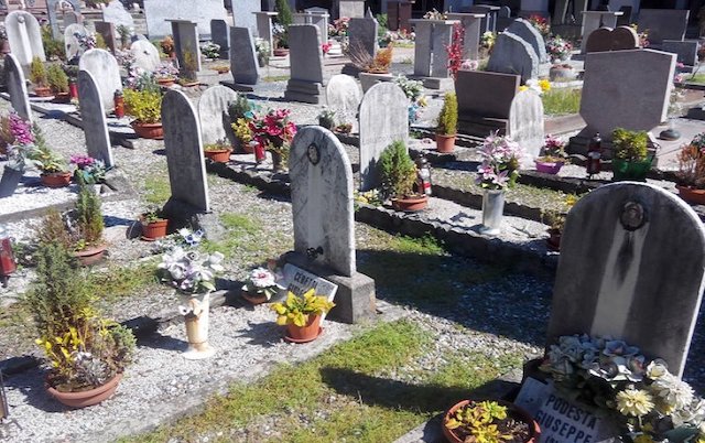 image 405652 900 600