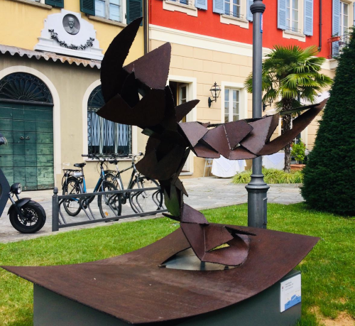 Angelo Bozzola municipio211