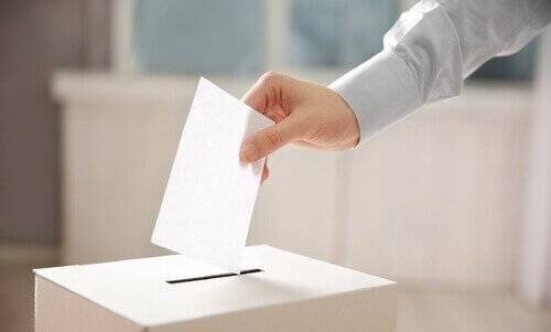 voto