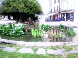 pallanza fontana delfino