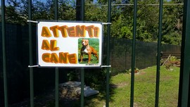 fondotoce cani