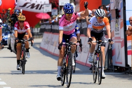 guarnier 2016