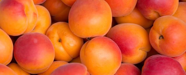 albicoccheconsigli pratici 986x400