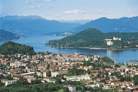 arona generica