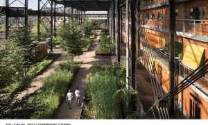 14. HALLE PAJOL ROSA LUXEMBURG GARDEN Ph Karolina Samborska