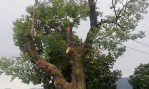 197948435 3908472705927542 5240239036704262977 n