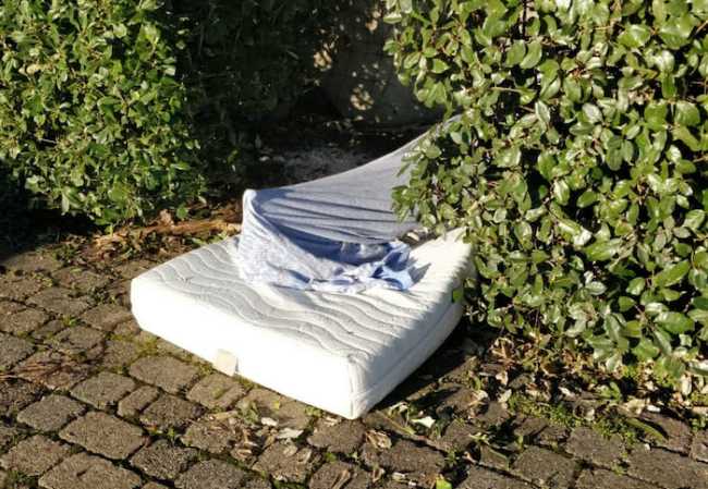 266196808 4966719936674300 3395710428589537209 n