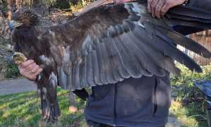 419833563 767951048704526 6838075318716064064 n