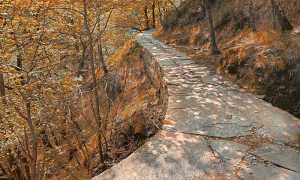 425847174 773597111483082 3174831610278889687 n