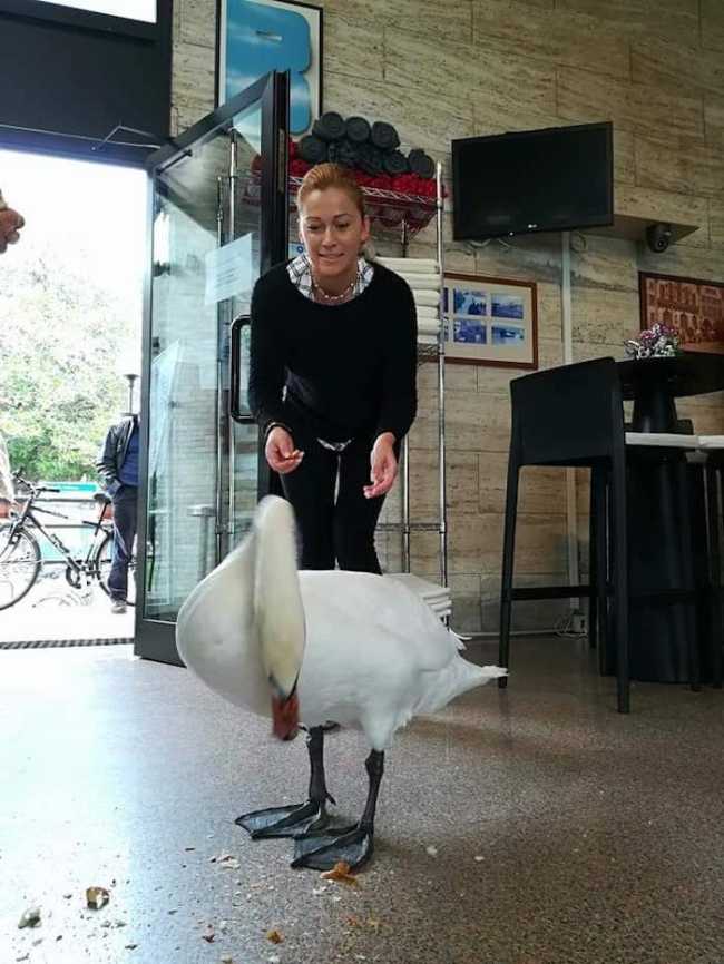 44786429 2308899862729626 3287366611148734464 n