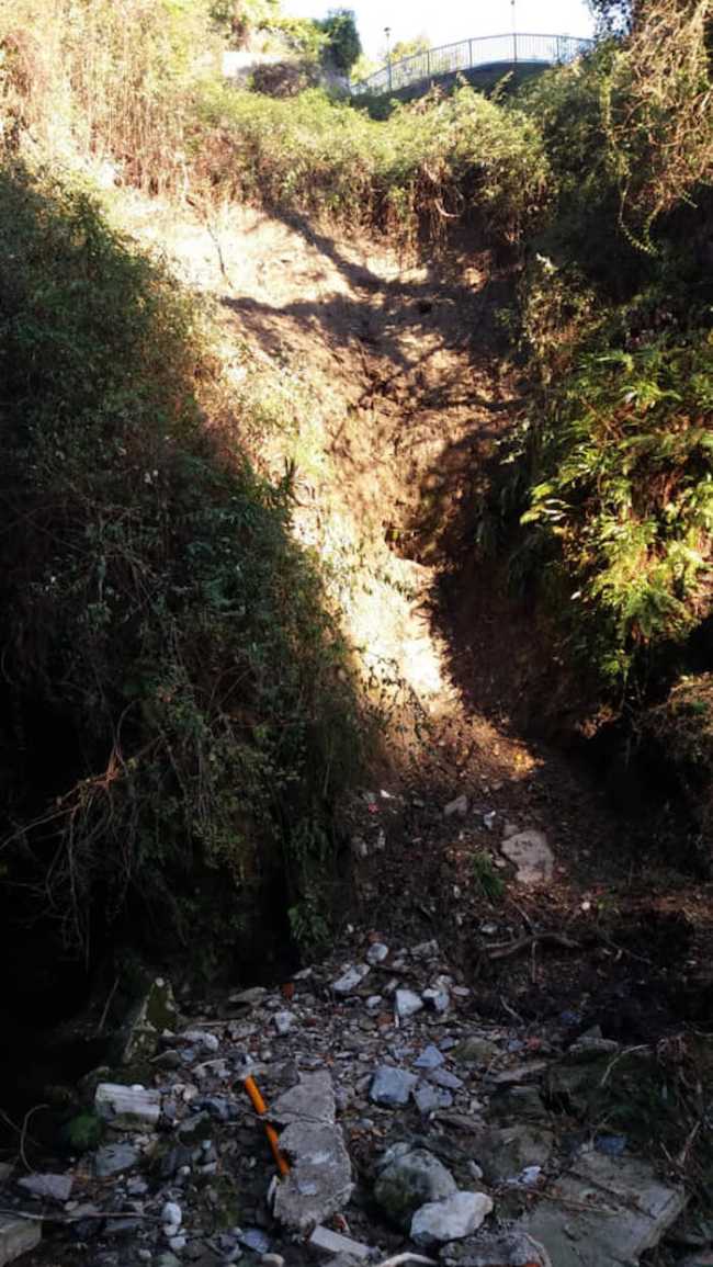 47204928 10213217163246851 6575067542551789568 n