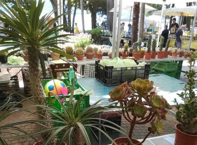 66582183 960083820989645 4156326279966097408 n