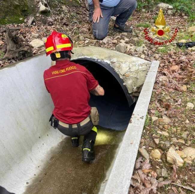 793c37e5 bcb0 42e3 8bb5 bd4408d50122