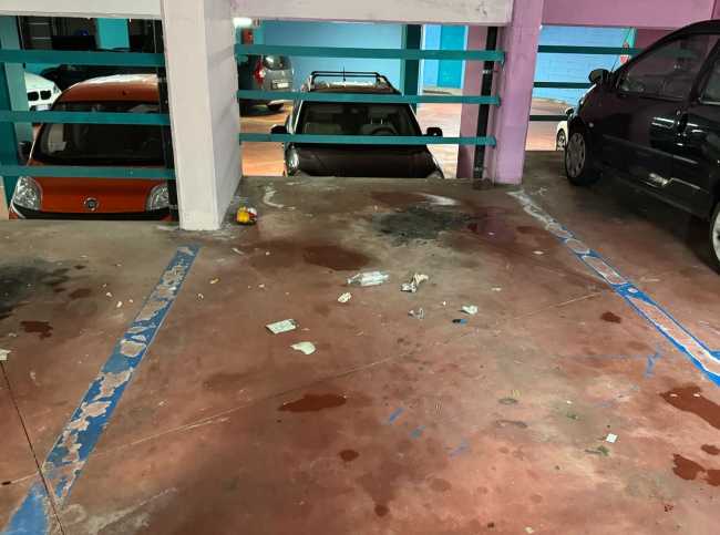 8a0d5380 02a4 432d 88fb 8589ffcd1826