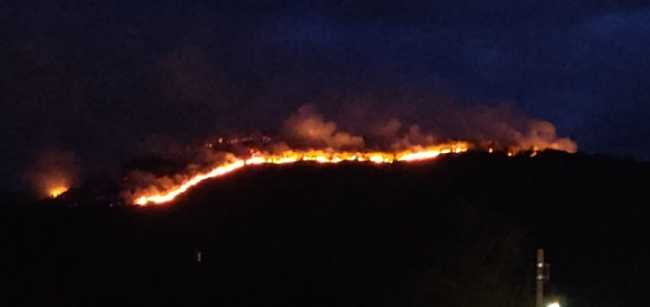 IMG 17042022 123322 700 x 331 pixel