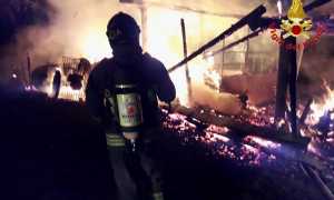 IMG 20221008 162822 700 x 525 pixel