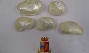 IMG 20230505 112428 700 x 525 pixel