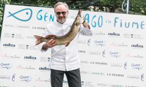 Marco Sacco GDL 2019