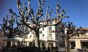 Schermata 2021 03 22 alle 09.33.37