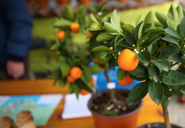 Schermata 2023 03 07 alle 11.11.34