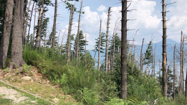 Schermata 2023 08 14 alle 16.50.17