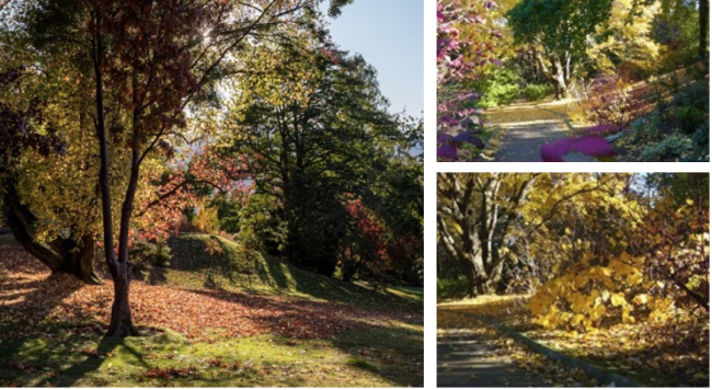 Schermata 2024 10 04 alle 09.57.06