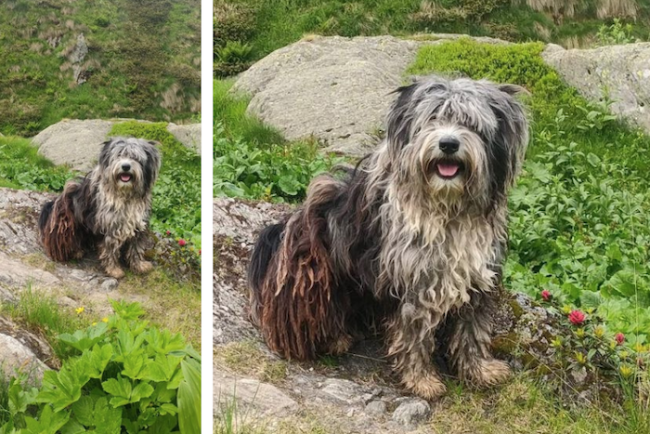 Schermata 2024 11 20 alle 16.14.22