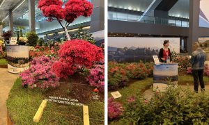 Schermata 2025 05 05 alle 14.02.11