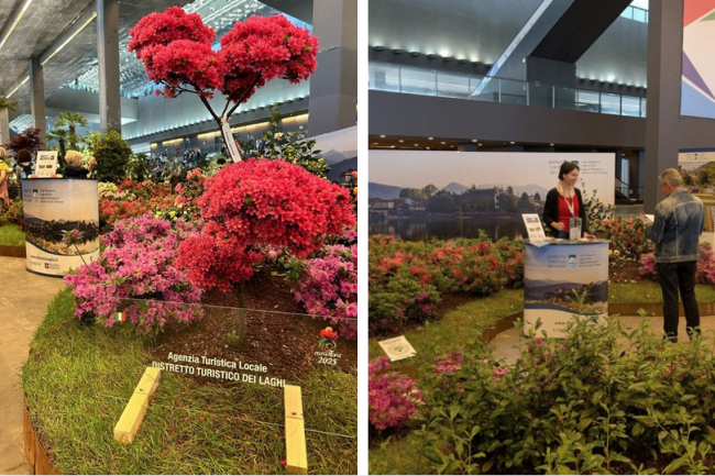 Schermata 2025 05 05 alle 14.02.11