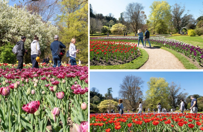 Schermata 2025 06 10 alle 13.45.58