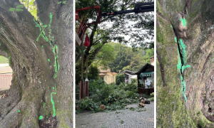 Schermata 2025 06 16 alle 07.14.57