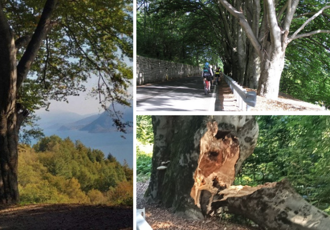 Schermata 2025 07 26 alle 13.57.48